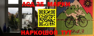 гидропоника Тверь