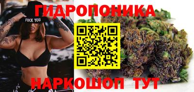 гидропоника Тверь