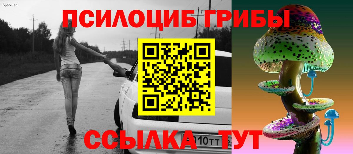Галлюциногенные грибы Psilocybine cubensis Богородск