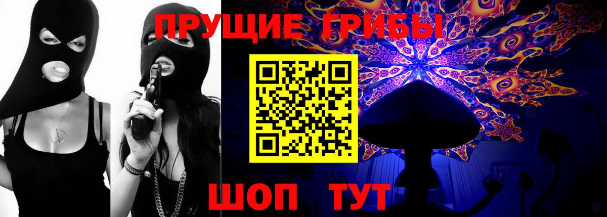 Богородск  Галлюциногенные грибы Psilocybine cubensis  Вход с VPN 